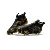 Adidas ACE PureControl FG Paul Pogba Capsule Negro Oro